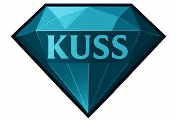 Kuss Facilities and Property Services Ltd Cleaning Services London 